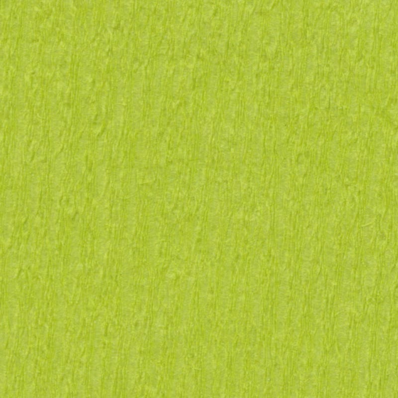 Crepe Paper 19.7"x98.4" w/ fold - 10 pack - Light Green image