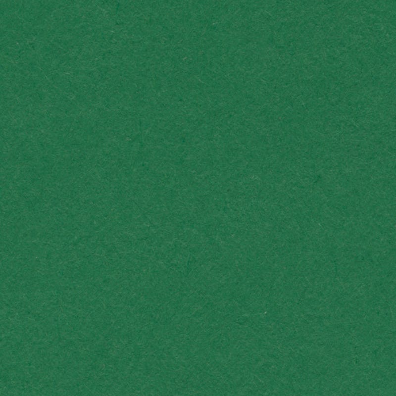 English Cardboard 19.7"x25.6" - 1 sheet- 160 g medium weight - Dark Green image