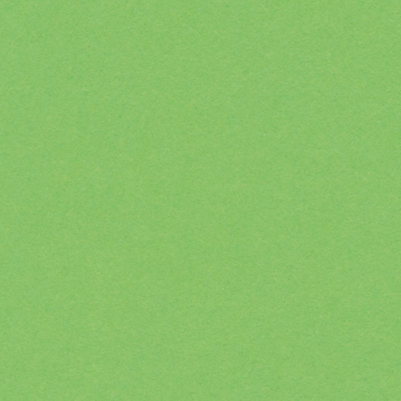 English Cardboard 19.7"x25.6" - 1 sheet - 160 g medium weight - Light Green image