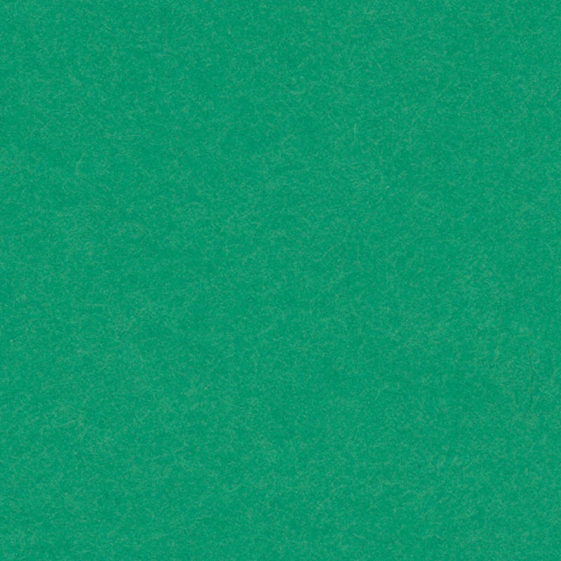 English Cardboard 19.7"x25.6" w/ fold - 1 sheet - 280 g heavy weight - Green image