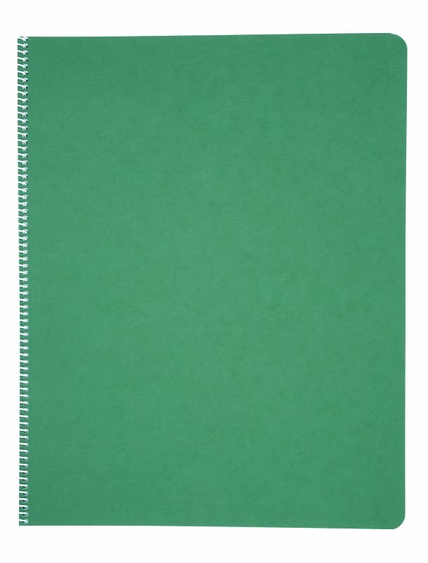 Literacy Lined/Blank Main Lesson Books - Green image