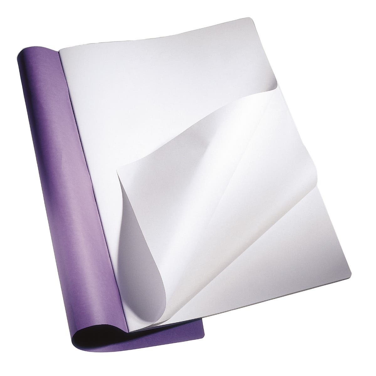 Extra Large Main Lesson Books 12.6"x19" - staple - portrait - w/onion skin - pack of 10 - Purple image
