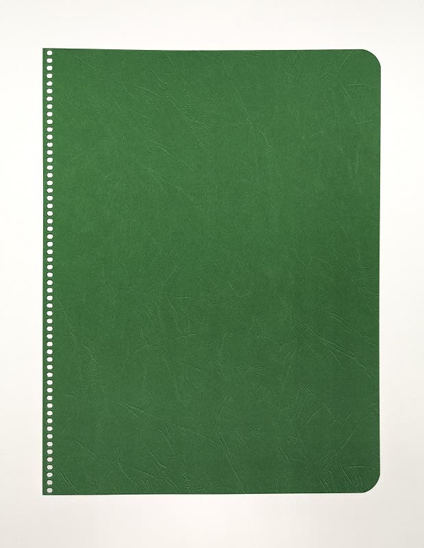 Main Lesson Book Covers 280g punched holes 8.7" x 11.4" - portrait - 30 sheets - Green  image