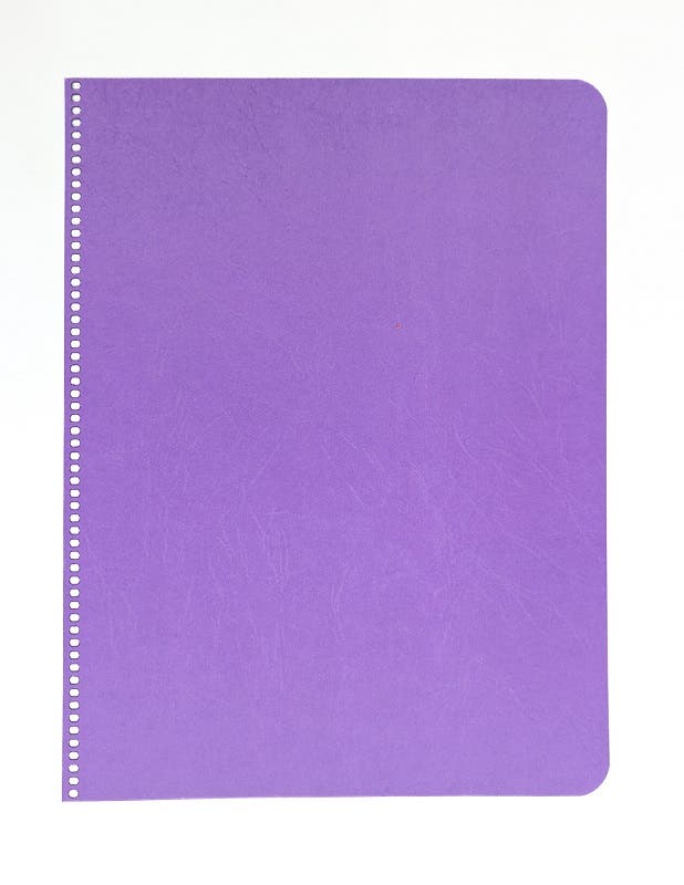 Main Lesson Book Covers 280g punched holes 8.7" x 11.4" - portrait - 30 sheets - Purple image