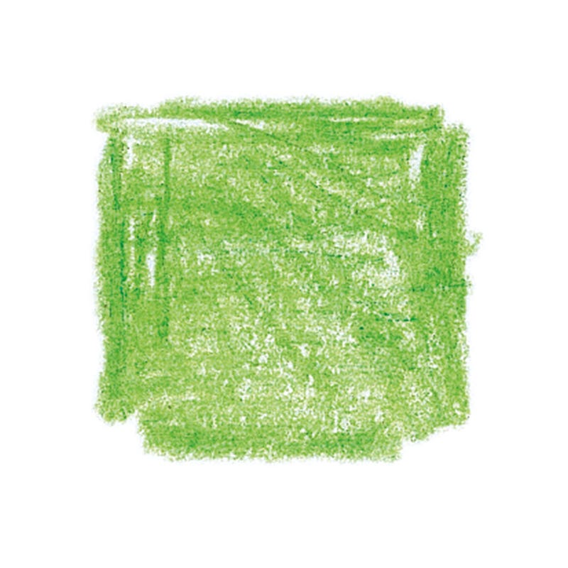 Caran d'Ache Supracolor Watercolor Pencils - box of 12 - Light Green image
