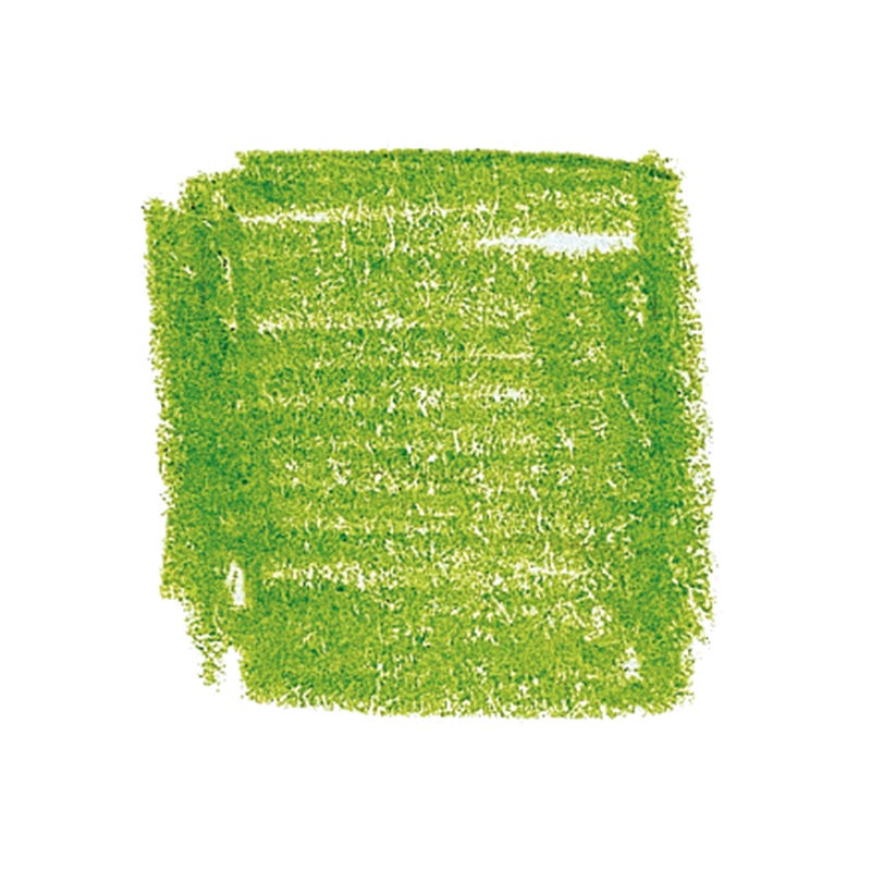 Lyra Pencils Rembrandt Polycolor - box of 12 - Apple Green image