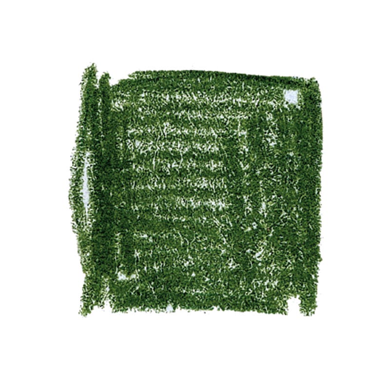 Lyra Pencils Rembrandt Polycolor - box of 12 - Cedar Green image