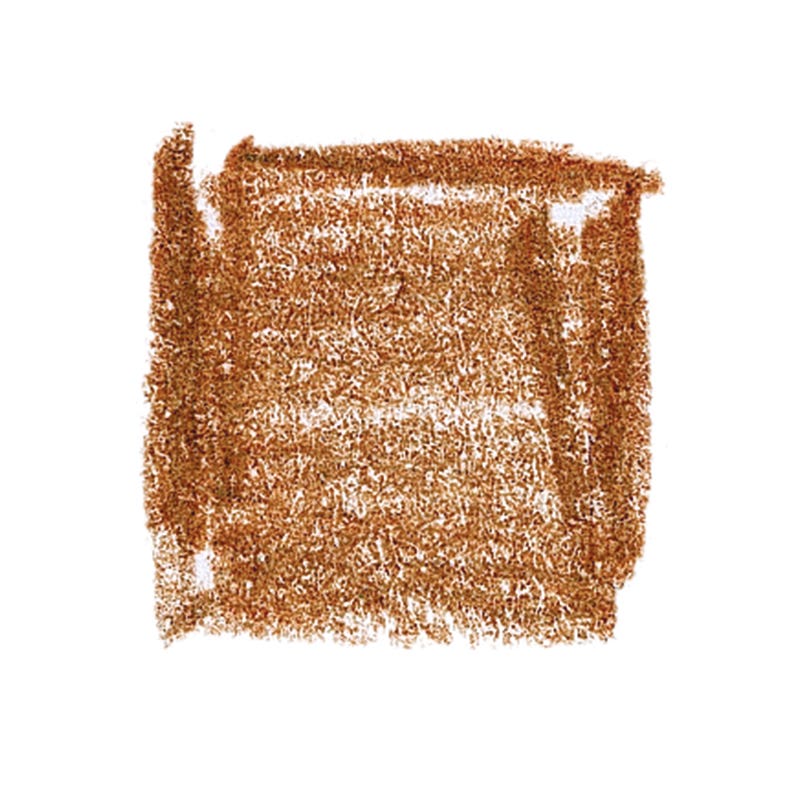 Lyra Pencils Rembrandt Polycolor - box of 12 - Brown Ochre image
