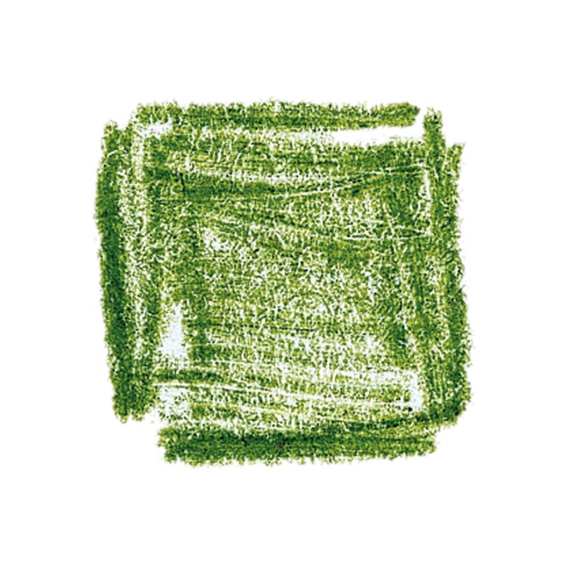 Lyra Pencils Rembrandt Aquarell - box of 12 - Moss Green image