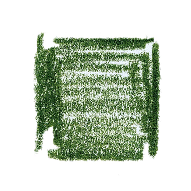 Lyra Pencils Rembrandt Aquarell - box of 12 - Cedar Green image