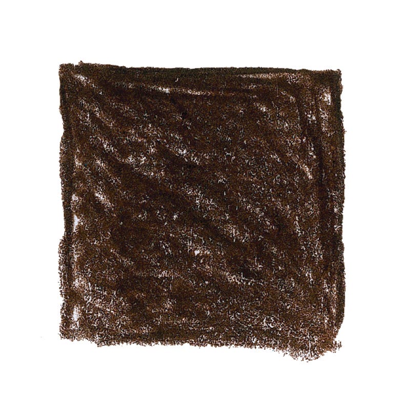 Lyra Color Giants Unlacquered Pencils - box of 12 - Van Dyke Brown image