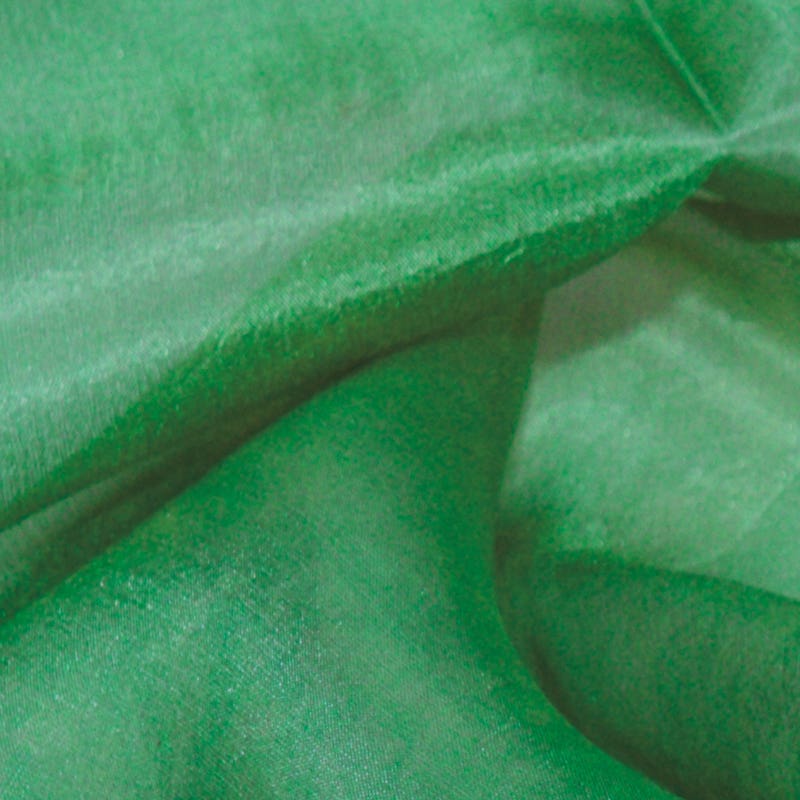 Filges Plant-dyed Unhemmed Light Silk - 1 x 5.5 yards - Green image