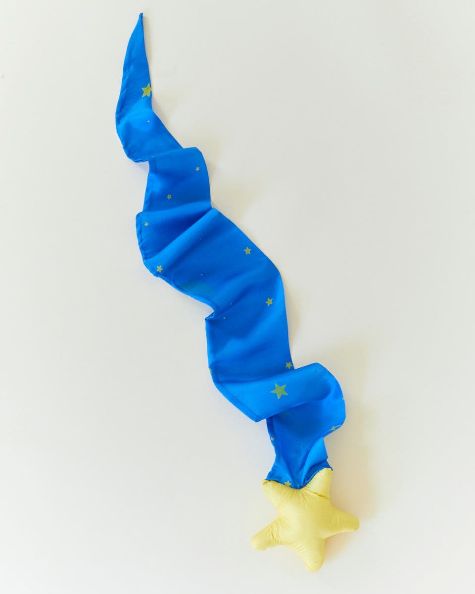 Sarah's Silks Skytail - Shooting Star image