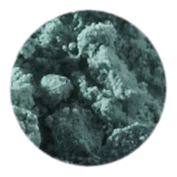Artemis Plant Colour Pigment 50 ml - Leaf Green image