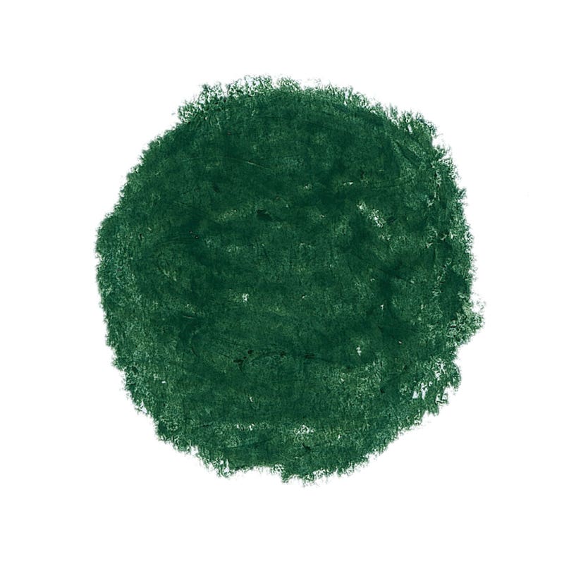 Stockmar Wax Stick Crayons box of 12 - Leaf Green image