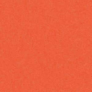 English Cardboard 160 g/ 180 g - 19.7"x25.6" / 19.7"x27.5" - 1 sheet