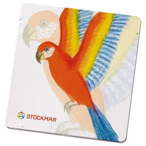 Stockmar Parrot Empty Tin Case - triangular inlay