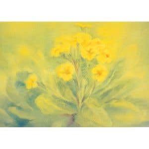 Marjan van Zeyl Postcards - 5 pieces - Primrose