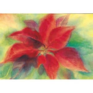 Marjan van Zeyl Postcards - 5 pieces - Christmas Flower