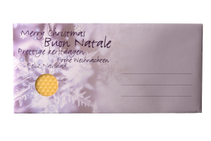 Dipam Christmas Greetings Snowflake - envelope with beeswax sheet, wick - 10 envelopes